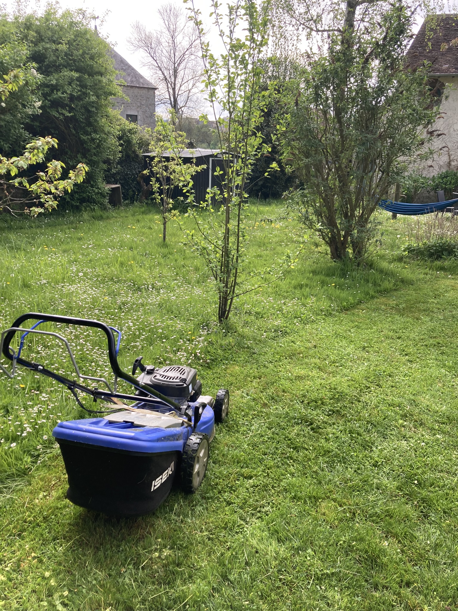 Service d'entretien de pelouse à Mézières-sous-Lavardin